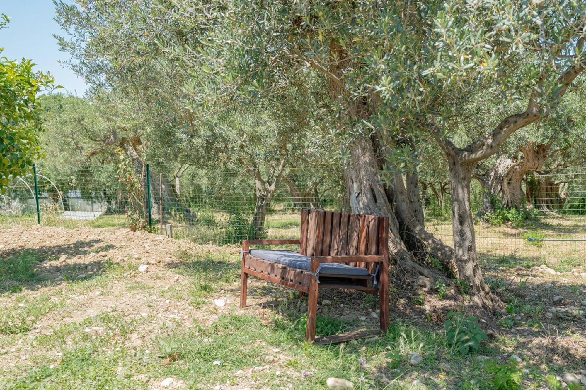 Casa San Giacomo - Yourplace Abruzzo Rocca San Giovanni Kültér fotó